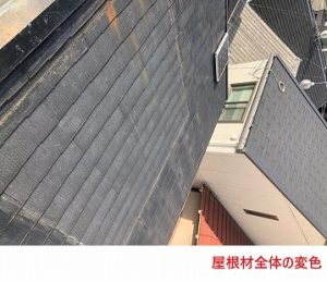 屋根材全体の変色