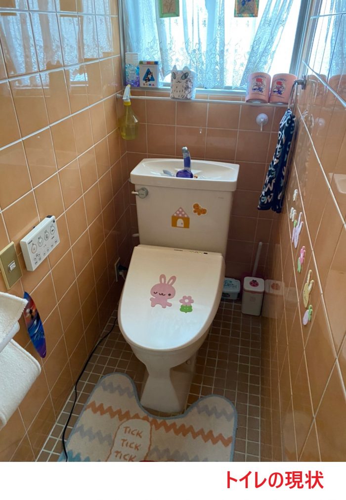 トイレの現状 (1)