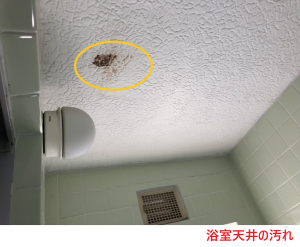 浴室天井の汚れ2