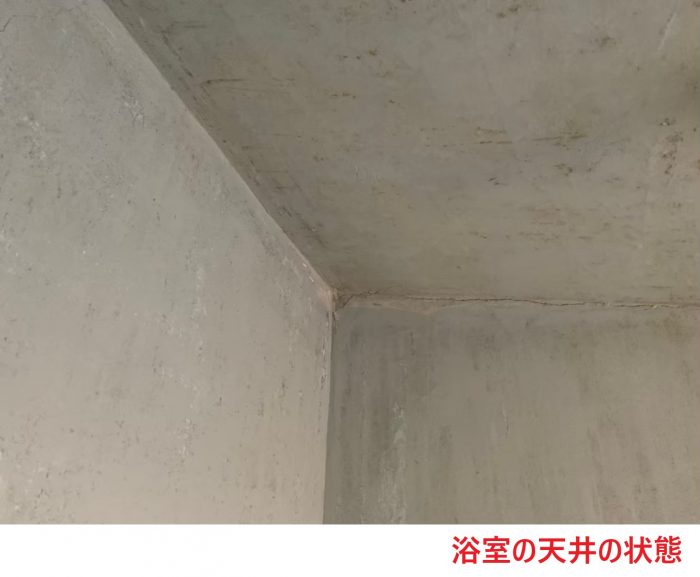 浴室の天井の状態 (2)