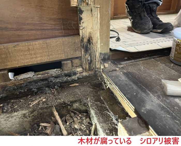 浴室木材が腐る白蟻被害
