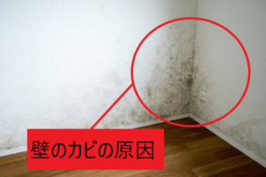 壁のカビの原因