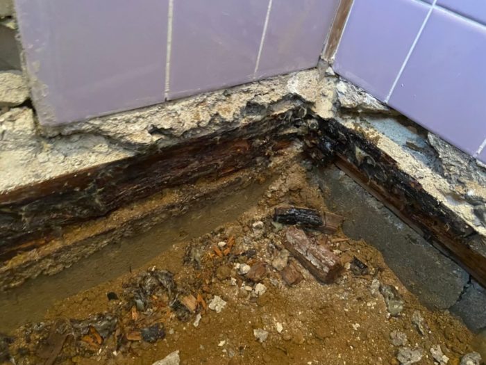 トイレ ビフォー