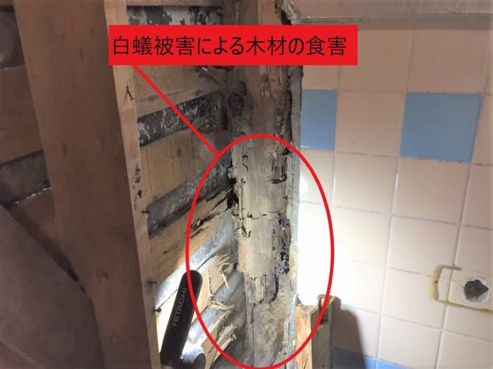 白蟻被害
