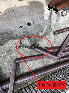 雨樋内部のゴミ