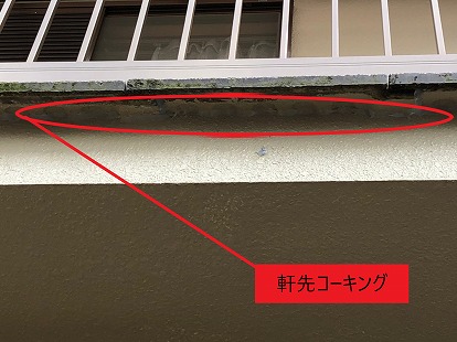 軒先コーキング