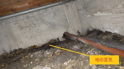 地の湿気