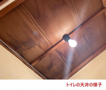 トイレの天井の様子