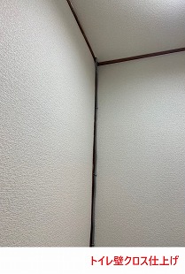 トイレ壁クロス仕上げ
