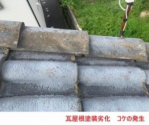 瓦屋根塗装劣化 コケの発生