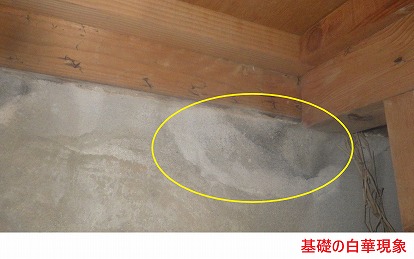 基礎の白華現象
