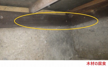 木材の腐食