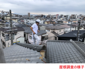 屋根調査の様子