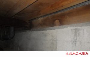 土台木の水染み