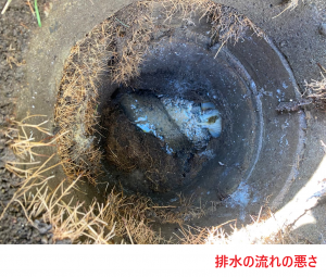 排水の流れの悪さ