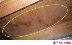 床下地の水染み