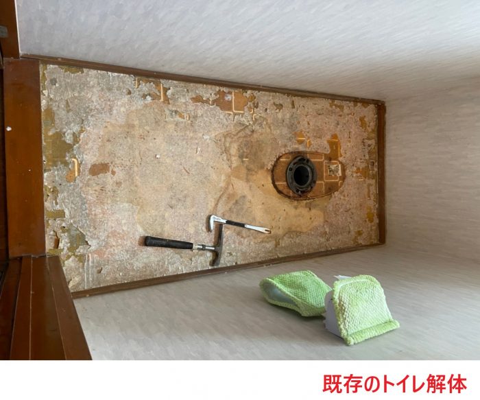 既存のトイレ解体 (2)