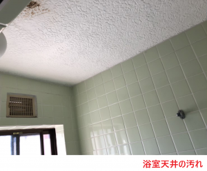 浴室天井の汚れ
