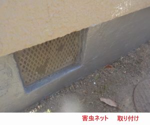 害虫ネット取り付け2
