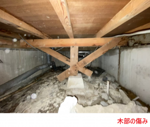 木部の傷み