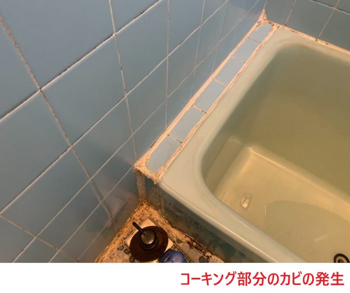 コーキング部分のカビの発生