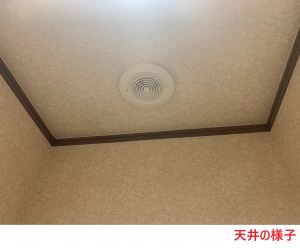 天井の様子