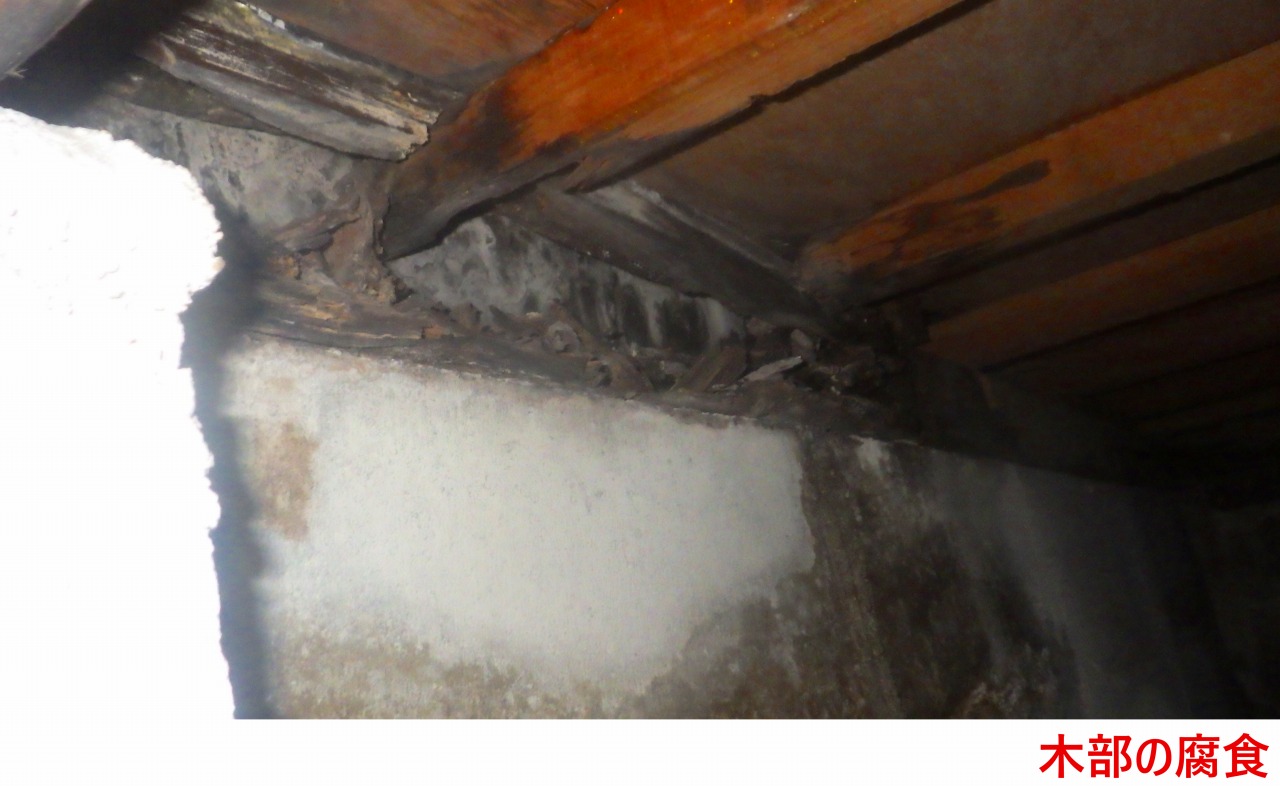 木部の腐食2