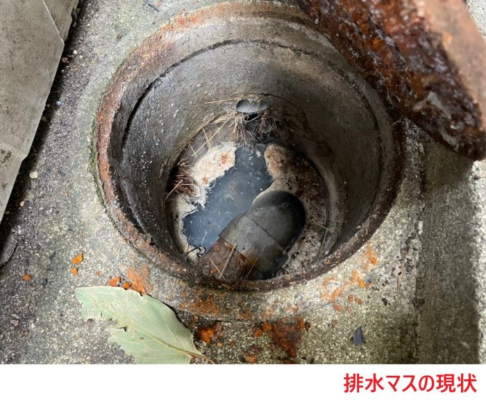 排水マスの現状 (2)
