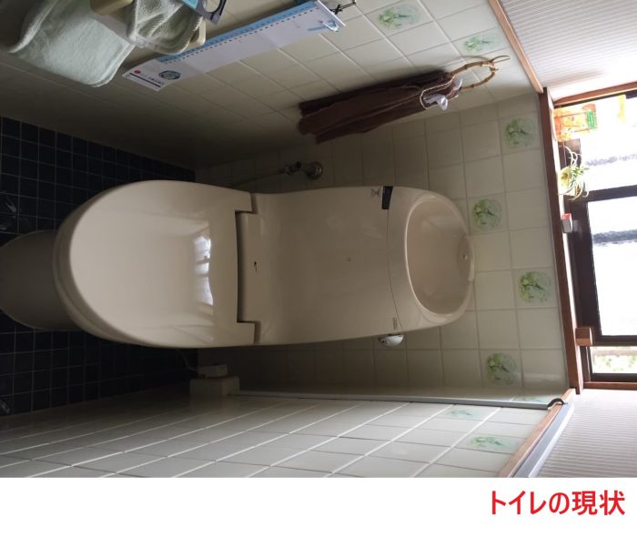 トイレの現状
