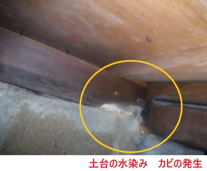 土台の水染み　カビの発生