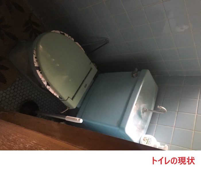トイレの現状 (1)