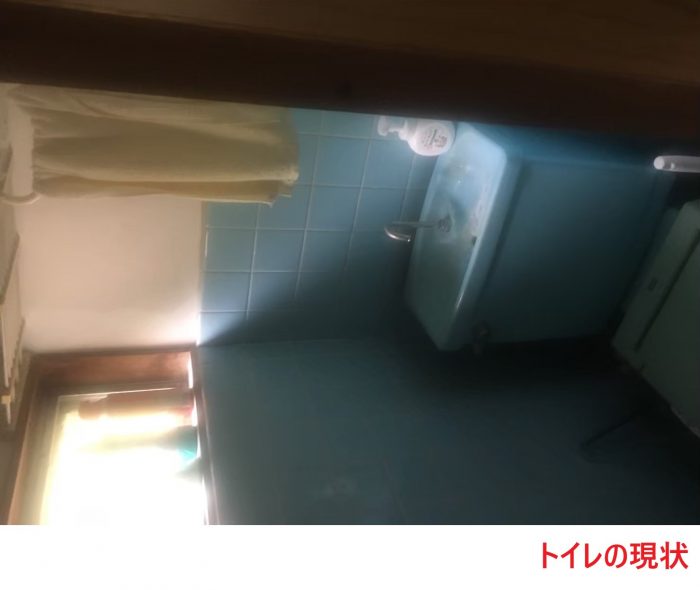 トイレの現状 (2)