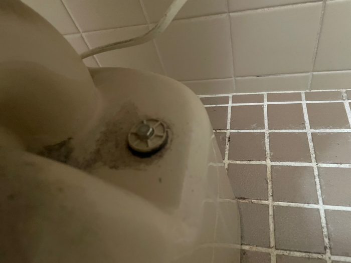 近江八幡市トイレ内装リフォーム