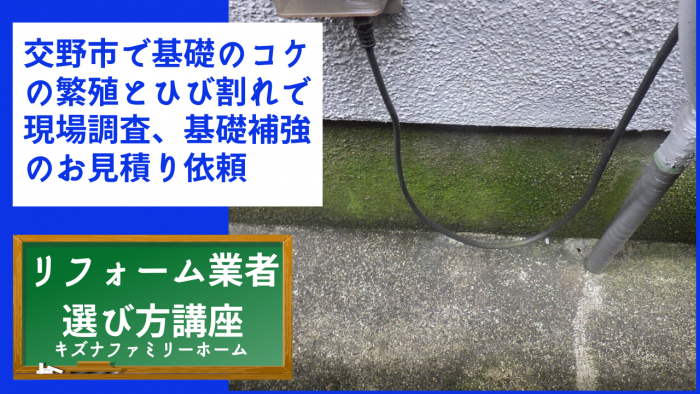 交野市で基礎のコケの繁殖とひび割れで現場調査、基礎補強のお見積り依頼