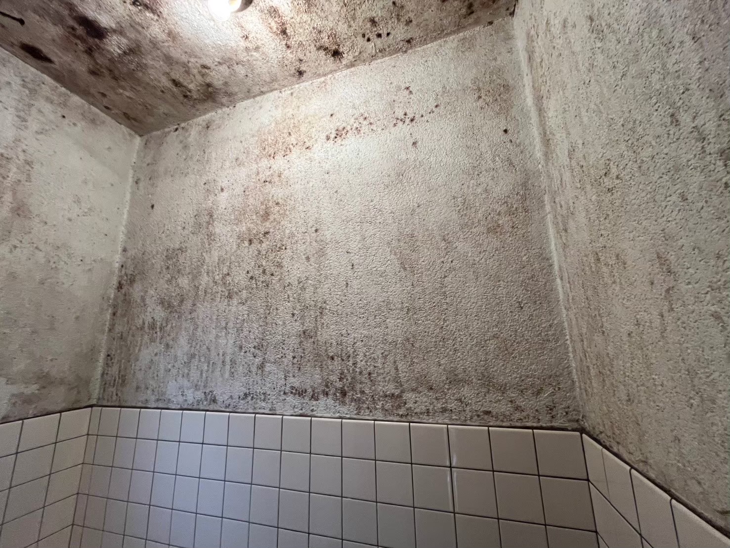 山科区 浴室状態