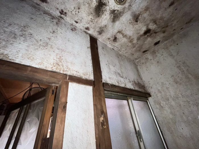 浴室 内壁カビの繁殖