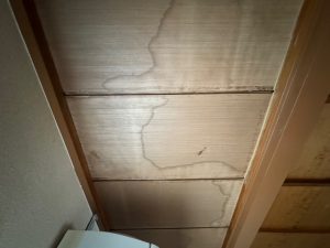 漆喰詰め直し工事 (10)