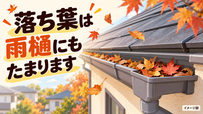 落ち葉は雨樋にもたまります.